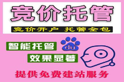 竞价托管与SEO结合的案例分析